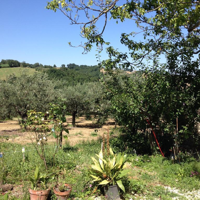 Masseria Spadone Villa Civitella Casanova Buitenkant foto