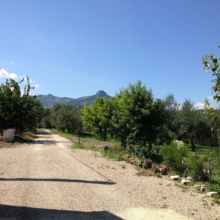 Masseria Spadone Villa Civitella Casanova Buitenkant foto